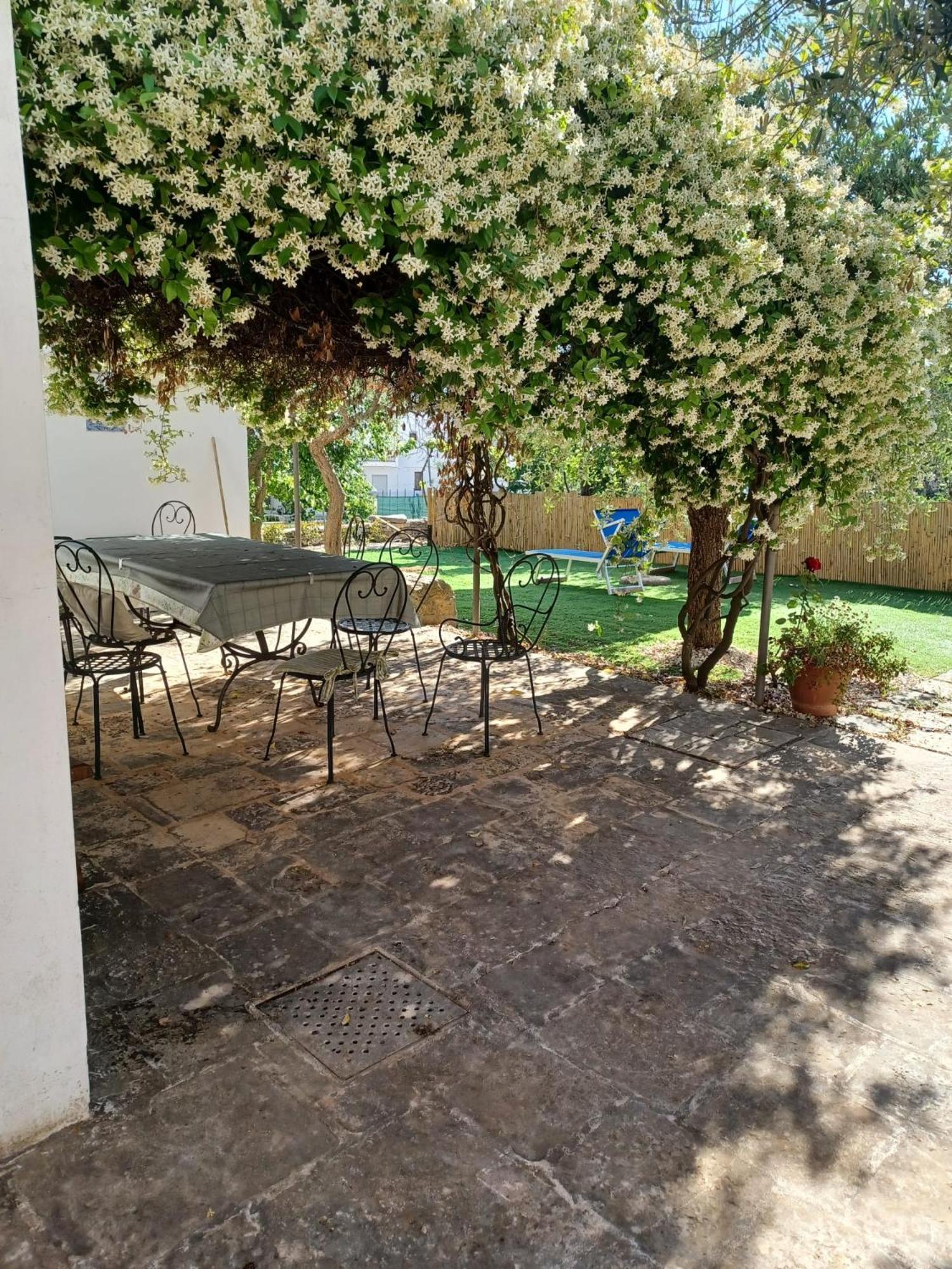 Trullo Vacanza Альберобелло Экстерьер фото